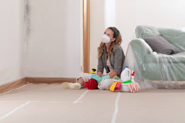 Reliable Mold Remediation contractor in Little Falls, NJ by WQB Mold Removal